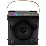 15w Karaoke Wireless Speaker with 2 mics